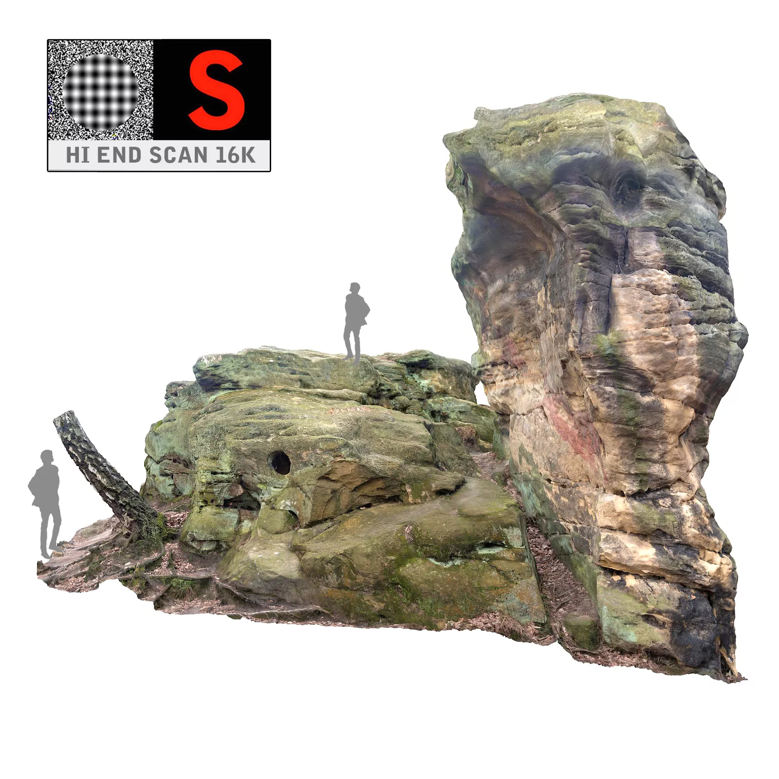 Stone Forest 16K Ultra HD Low-poly 3D model