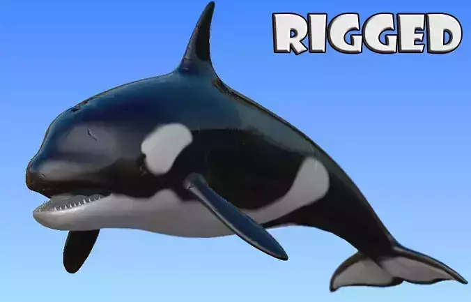 Rigged Orca Low-poly 3D model