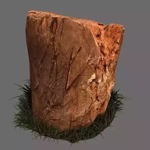 Old stump with grass