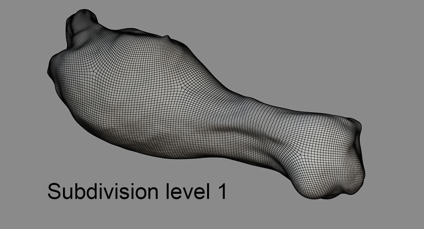 Chicken Leg Low-poly 3D model_4