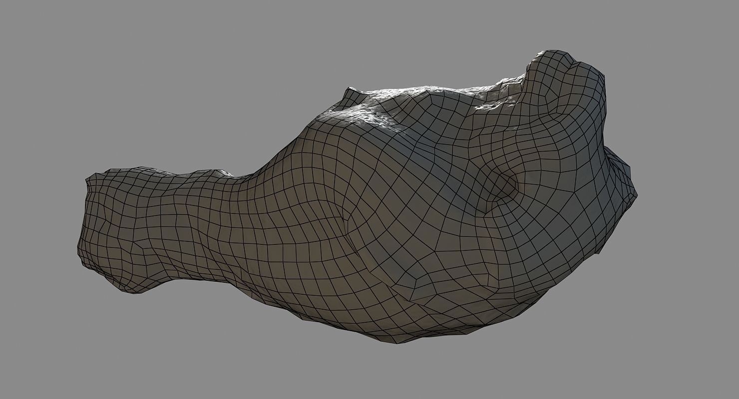 Chicken Leg Low-poly 3D model_2