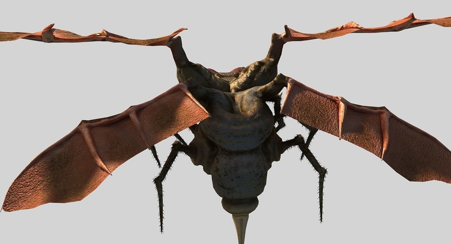 Fly Monster Low-poly 3D model_6