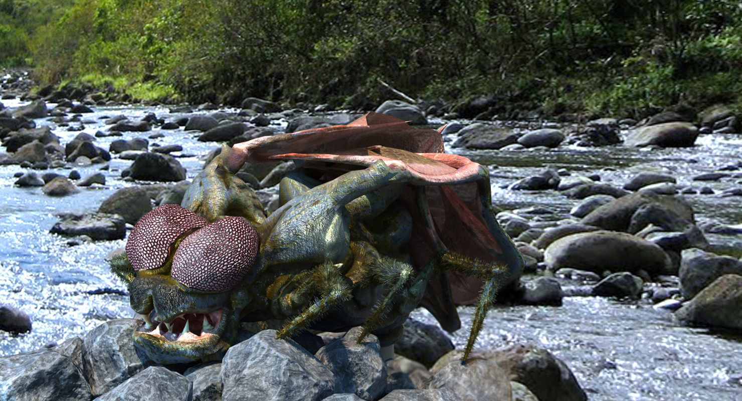 Fly Monster Low-poly 3D model_4