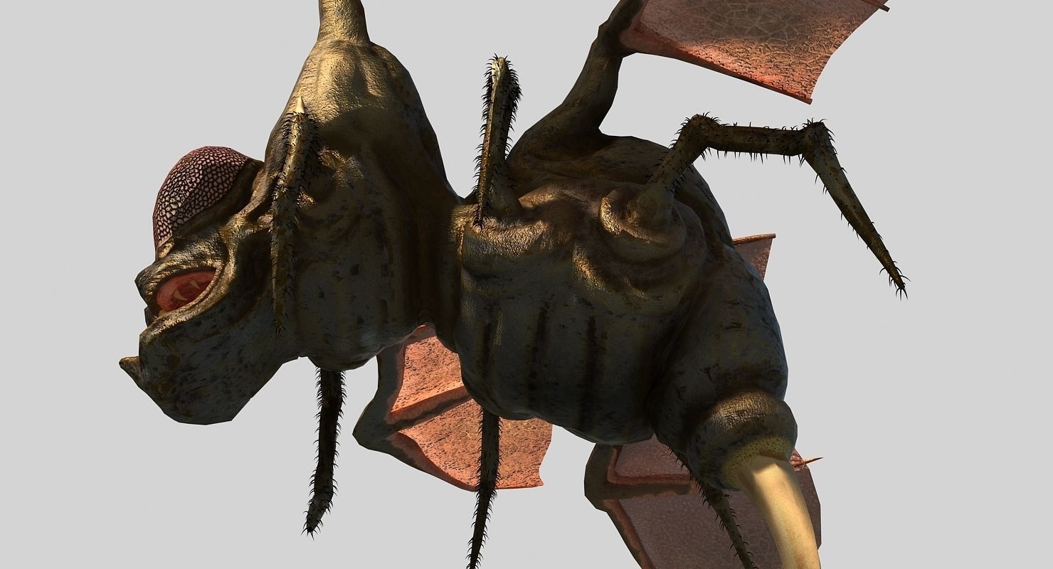Fly Monster Low-poly 3D model_7