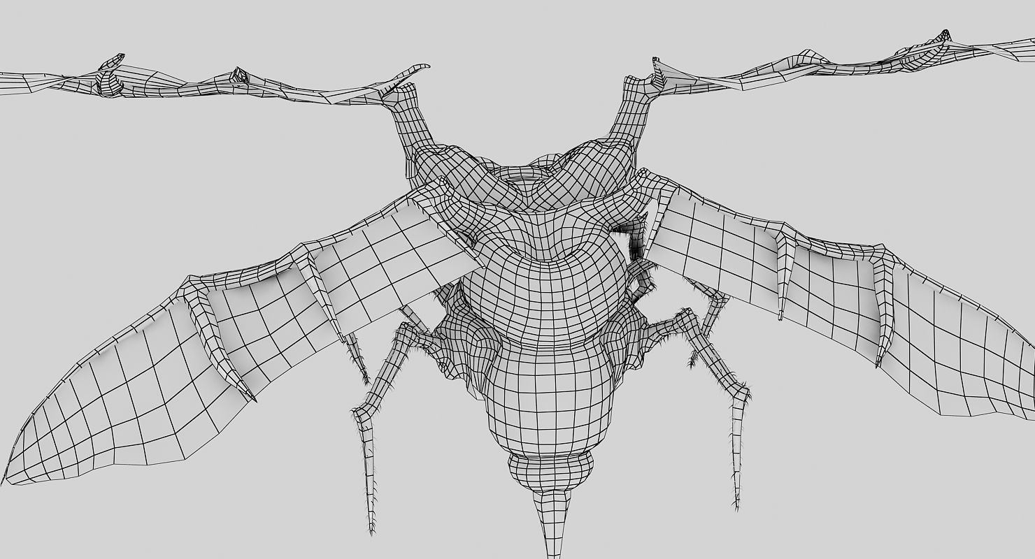Fly Monster Low-poly 3D model_11