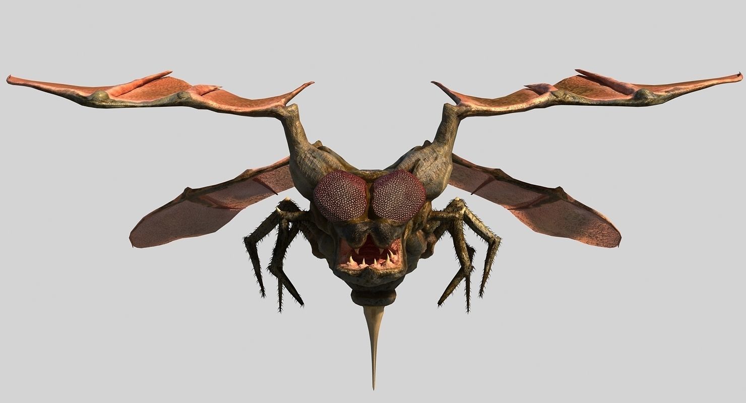 Fly Monster Low-poly 3D model_1