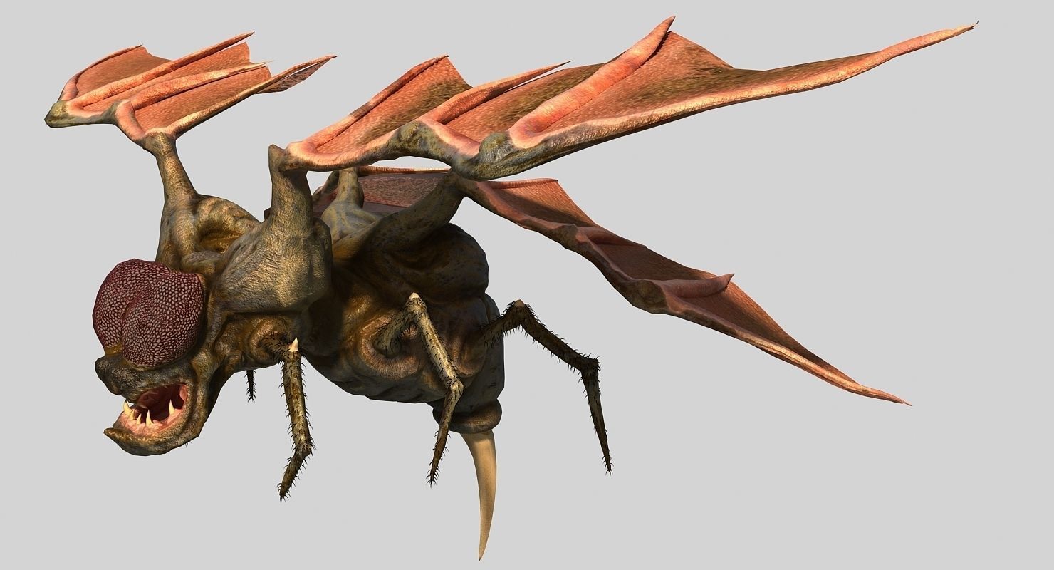 Fly Monster Low-poly 3D model_14