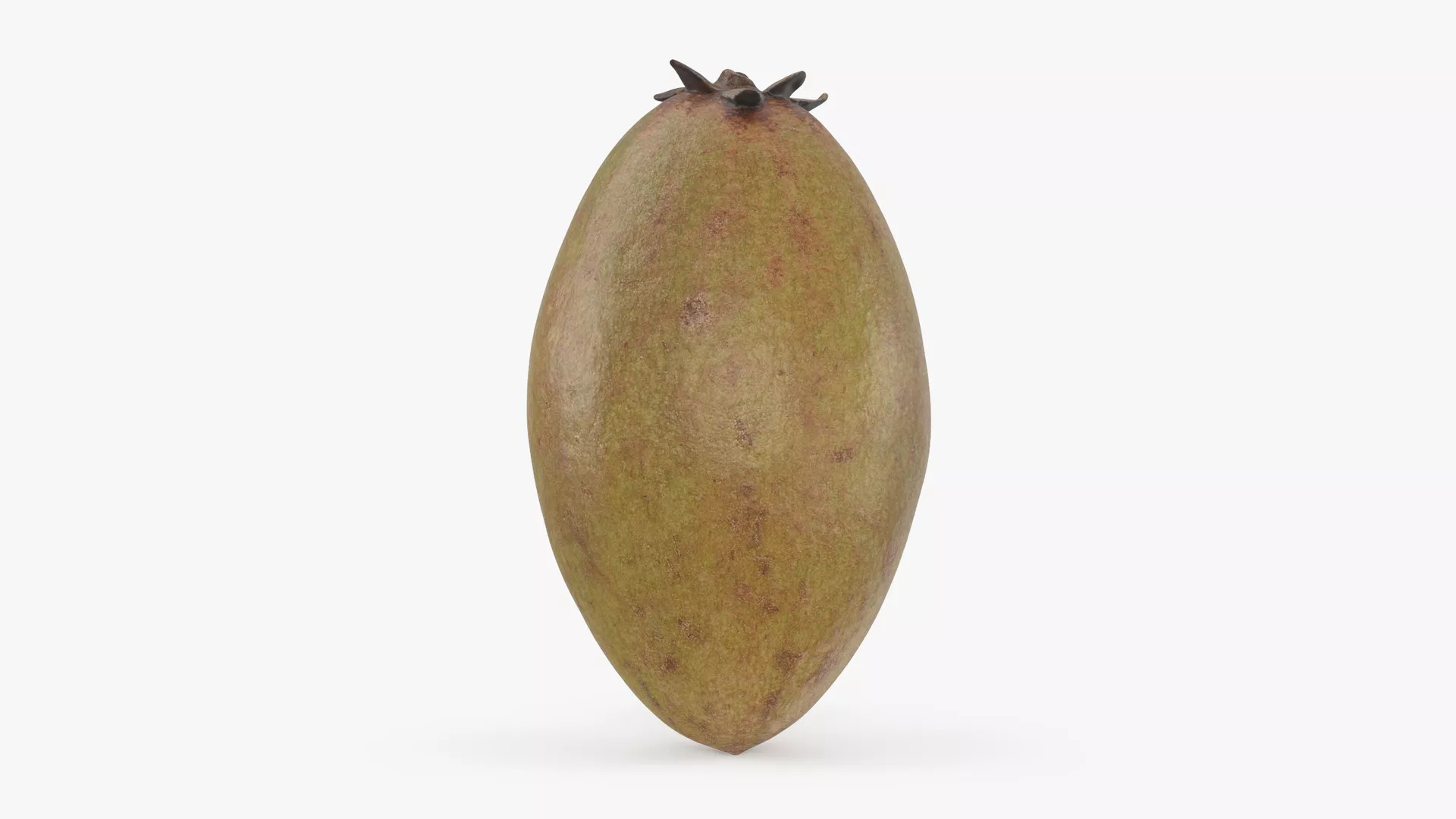 Whole Sapodilla Low-poly 3D model