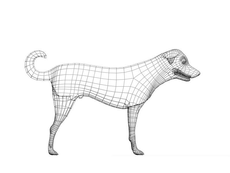 Nice dog Low-poly 3D model_2