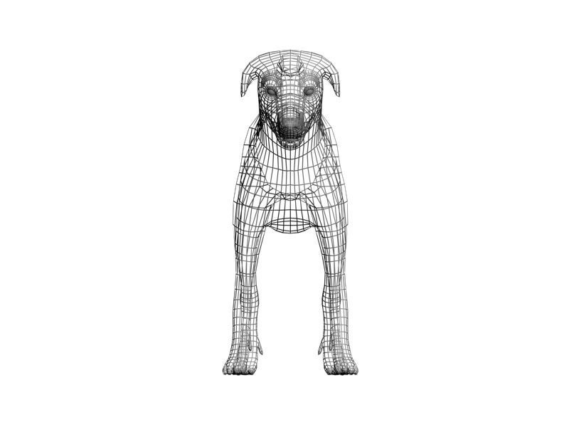 Nice dog Low-poly 3D model_1