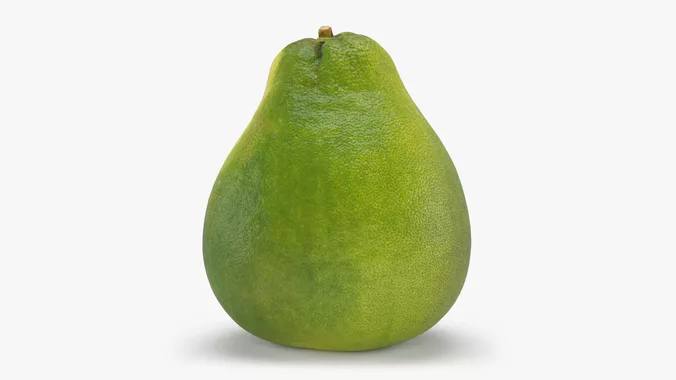Whole Pomelo