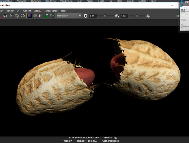 Peanut with shell 3D model_4