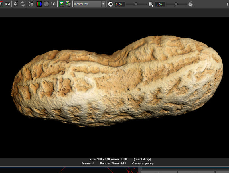 Peanut with shell 3D model_2