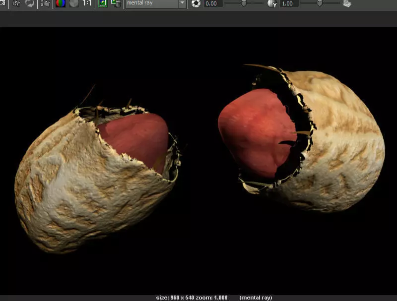 Peanut with shell 3D model_0