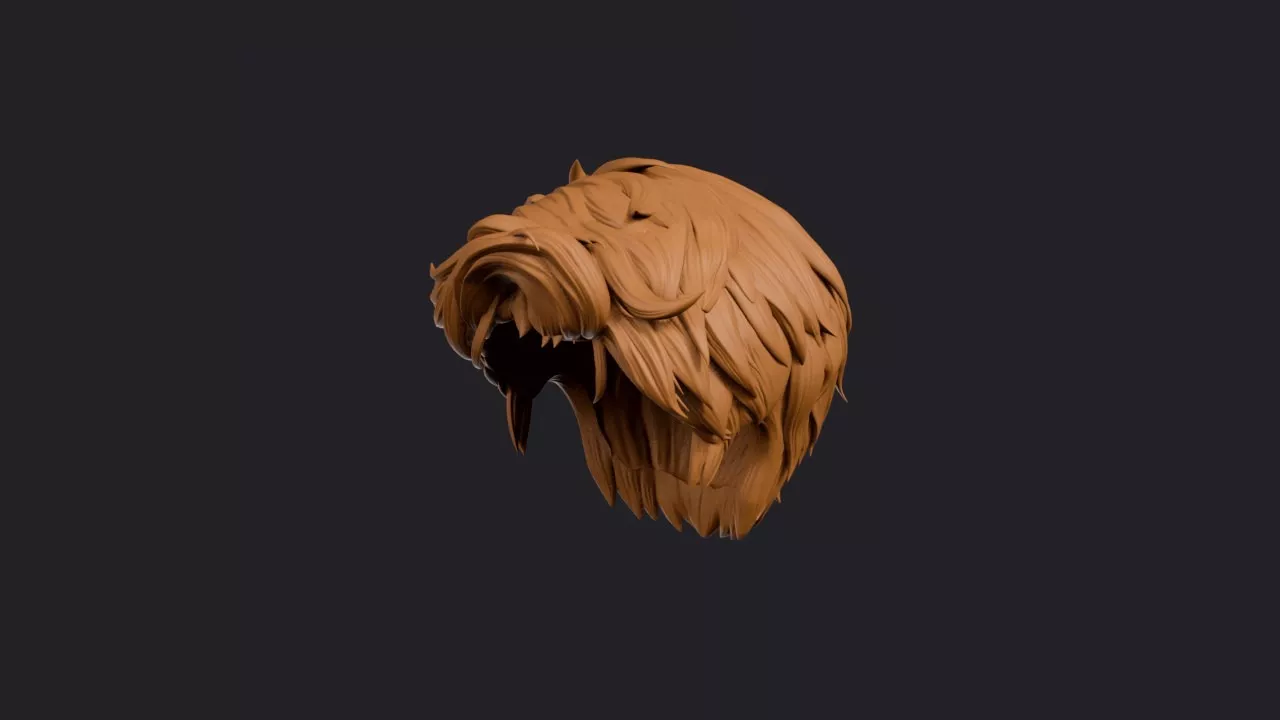 Forward Hook Feather Crop Hairstyle 3D print model