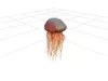 Lions Mane Jellyfish Detailed Model with Flowing Tentacles 3D model ...