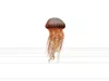 Lions Mane Jellyfish Detailed Model with Flowing Tentacles 3D model ...
