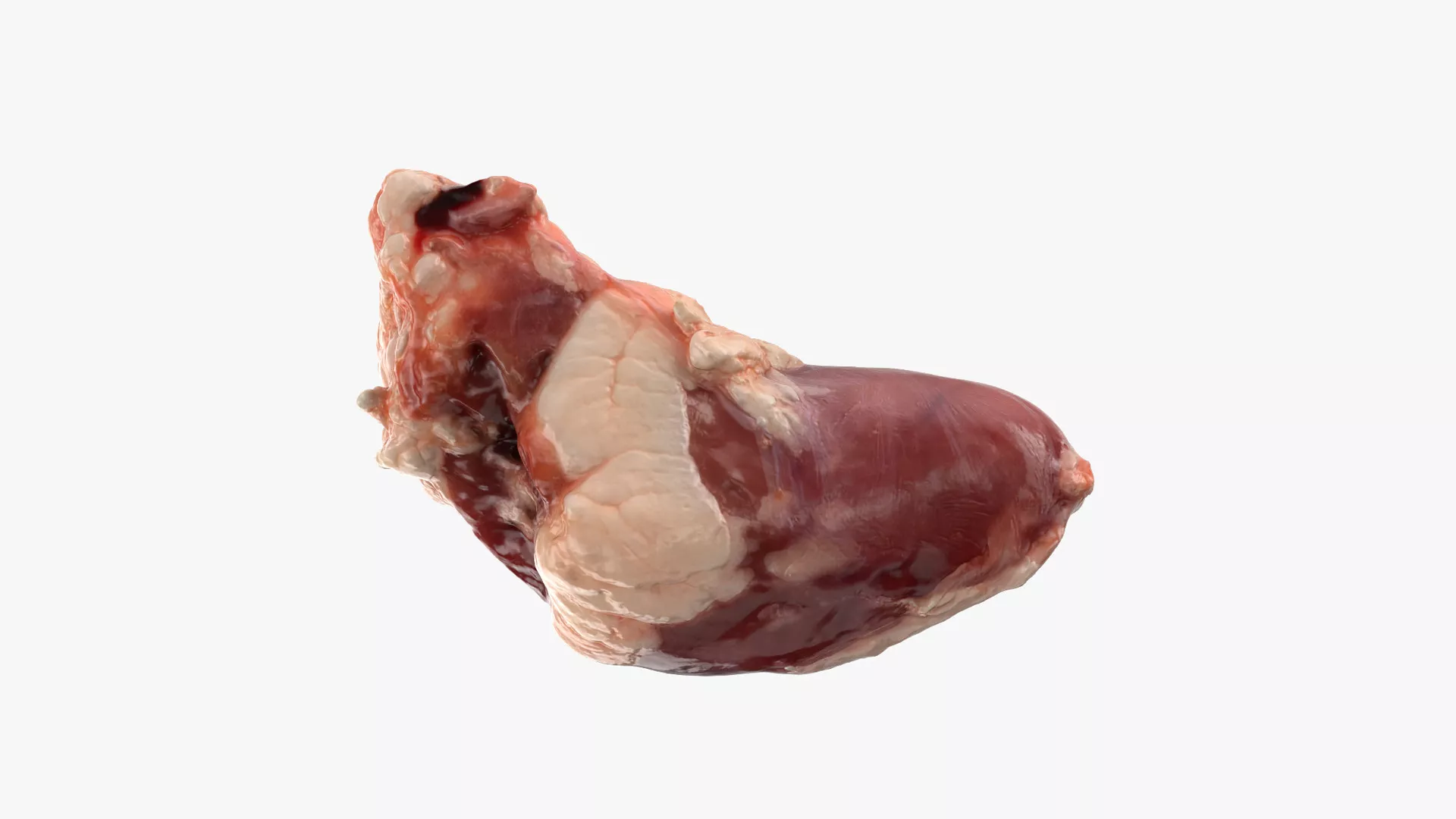 Chicken Heart 02 - 3D Scanned Low-poly 3D model