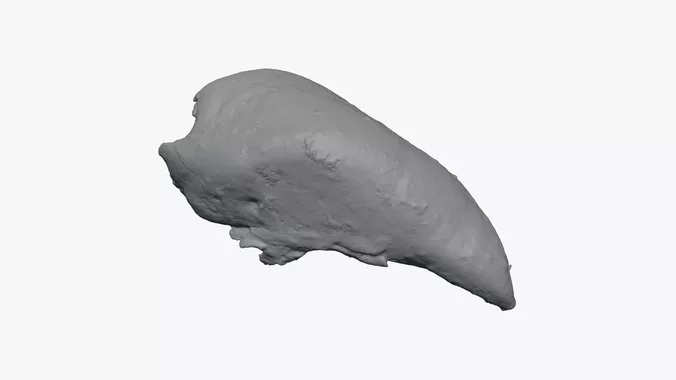 Roasted Chicken Fillet - For 3D Print