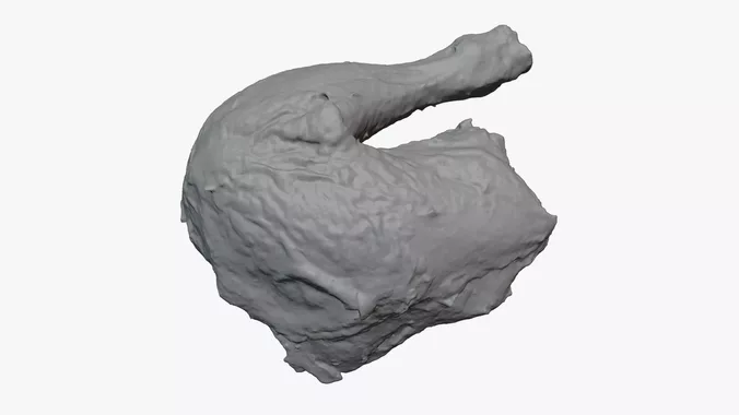 Roasted Chicken Leg - For 3D Print