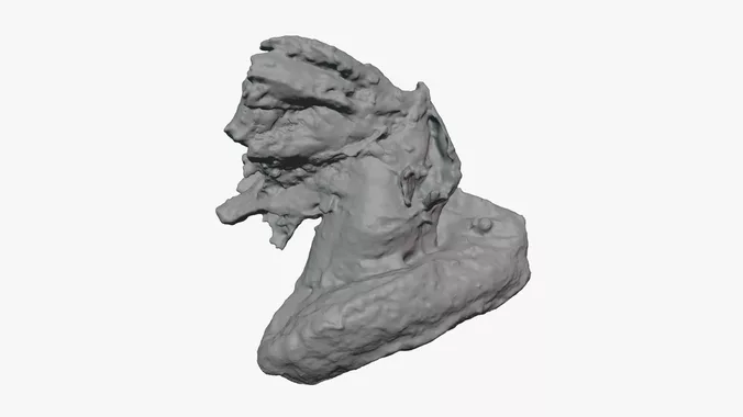 Roasted Chicken Wing - For 3D Print