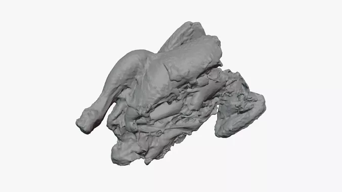 Roasted Chicken Cut - For 3D Print