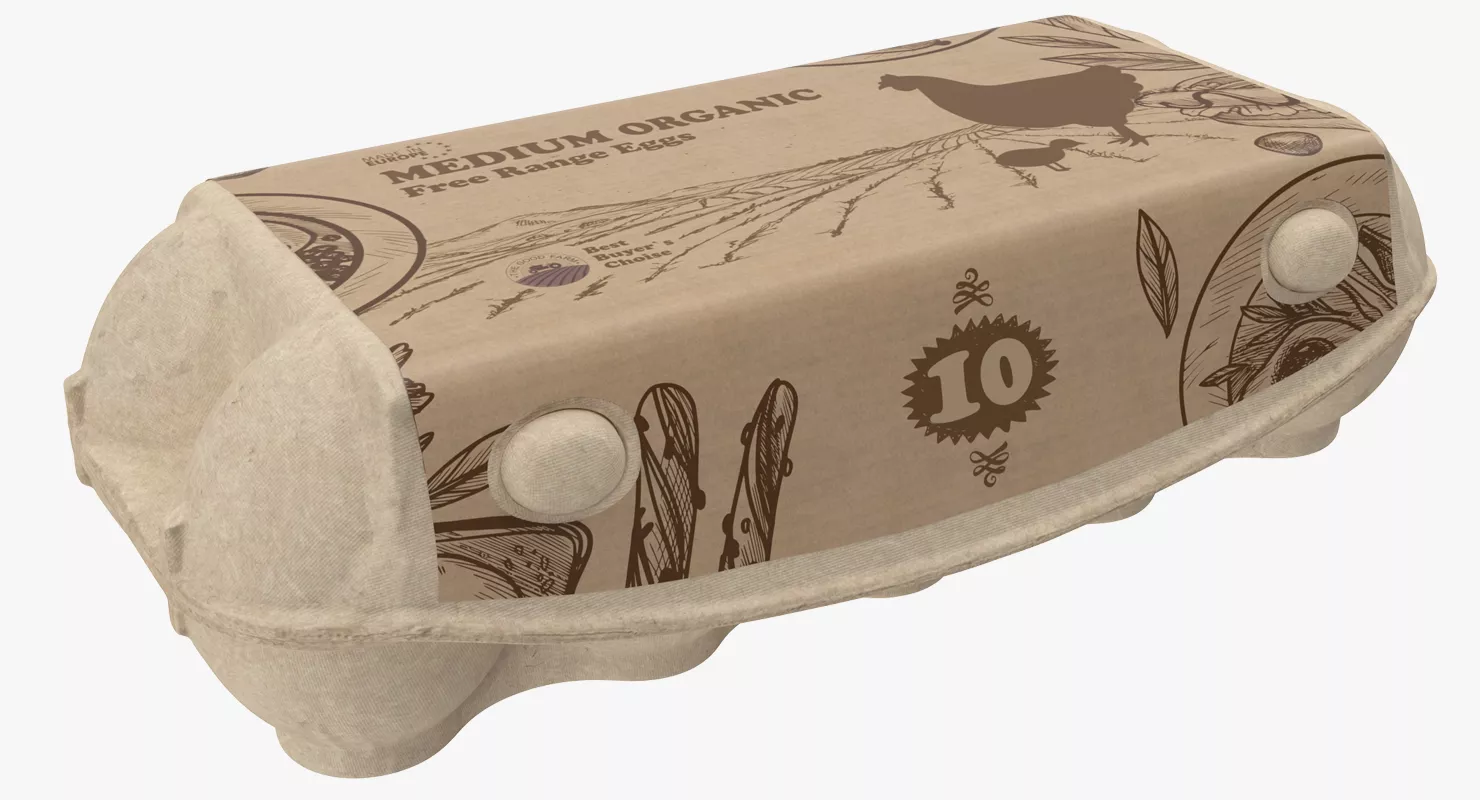 Ten Eggs Carton Package Closed 3D model