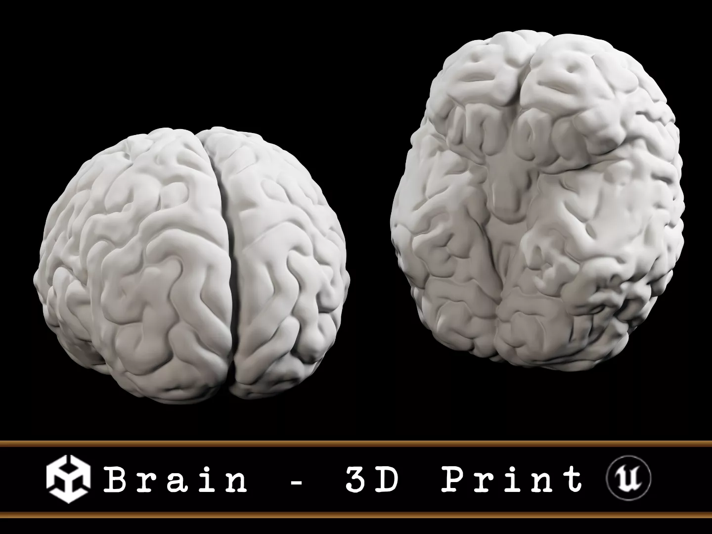 Human Brain 3D print model