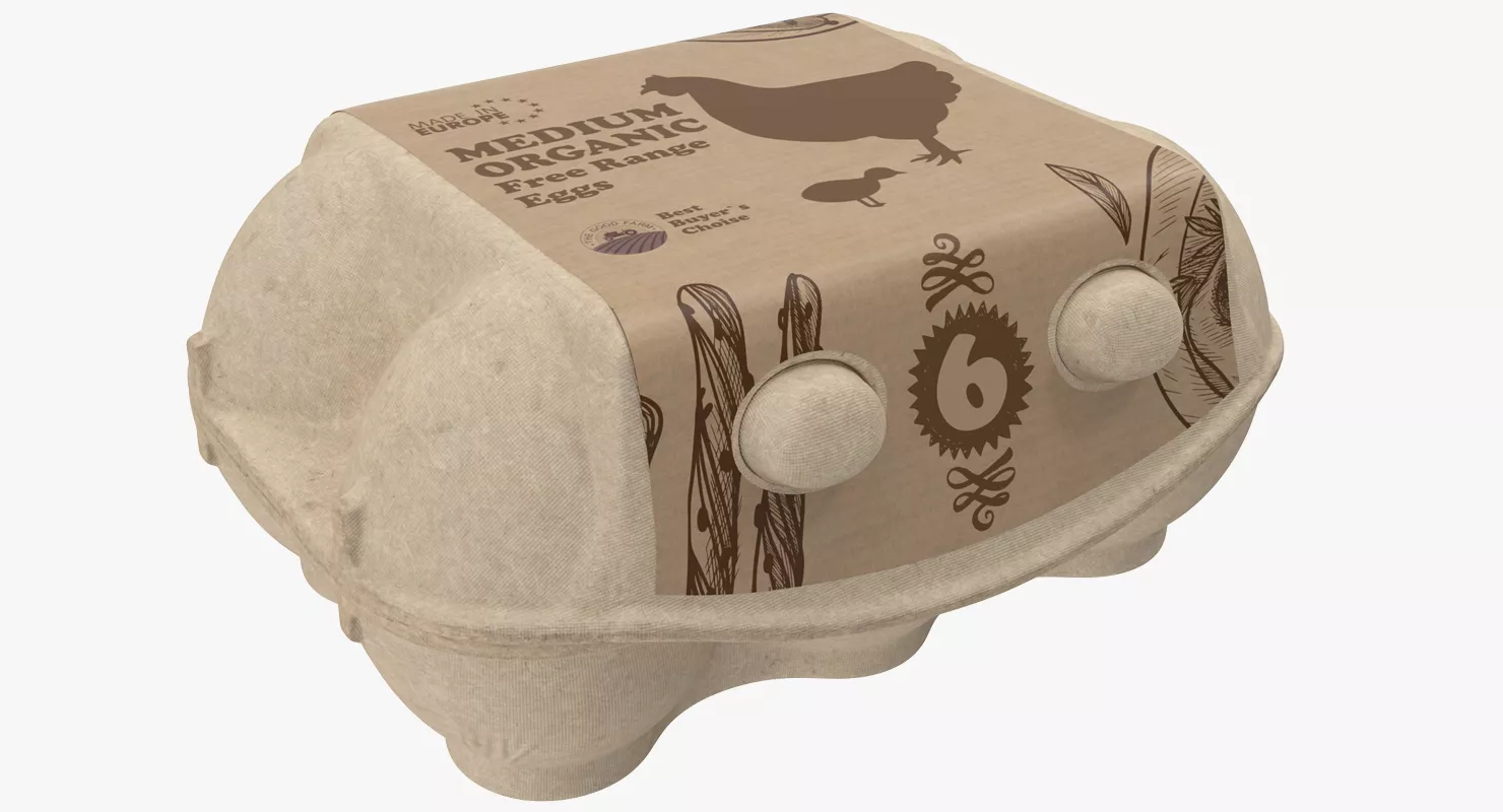 Six Egg Package Closed 3D model