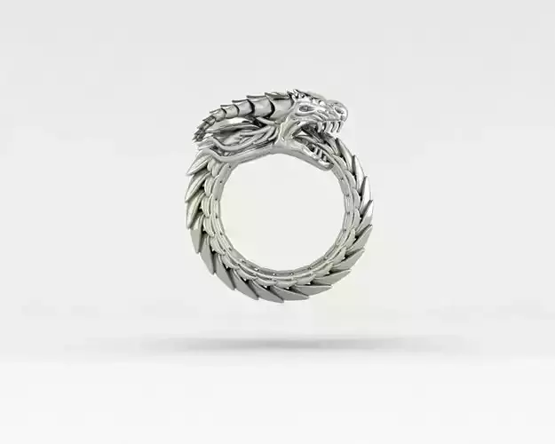 Dragon 3d nice ring  Free 3D print model