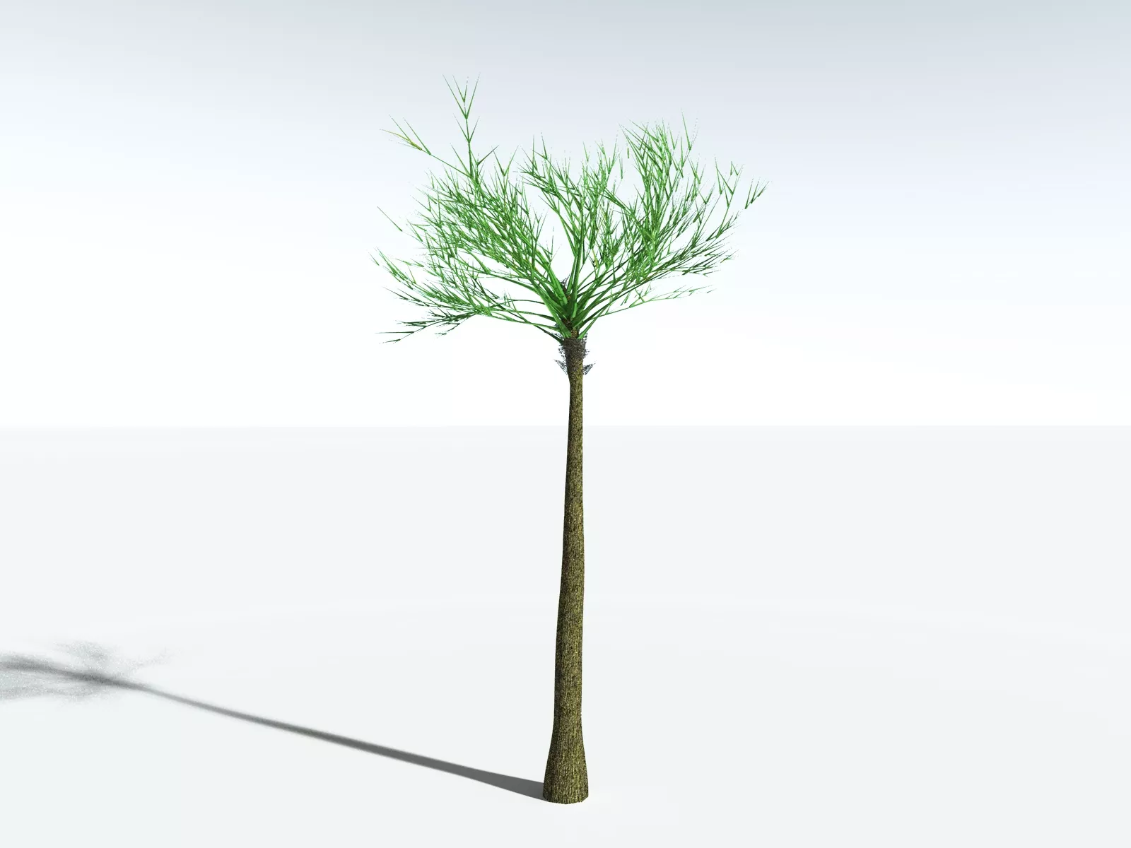 3D model EVERYPlant Pseudosporochnus Verticillatus LowPoly VR / AR ...
