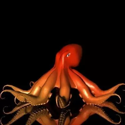 Octopus orange Low-poly 3D model_0