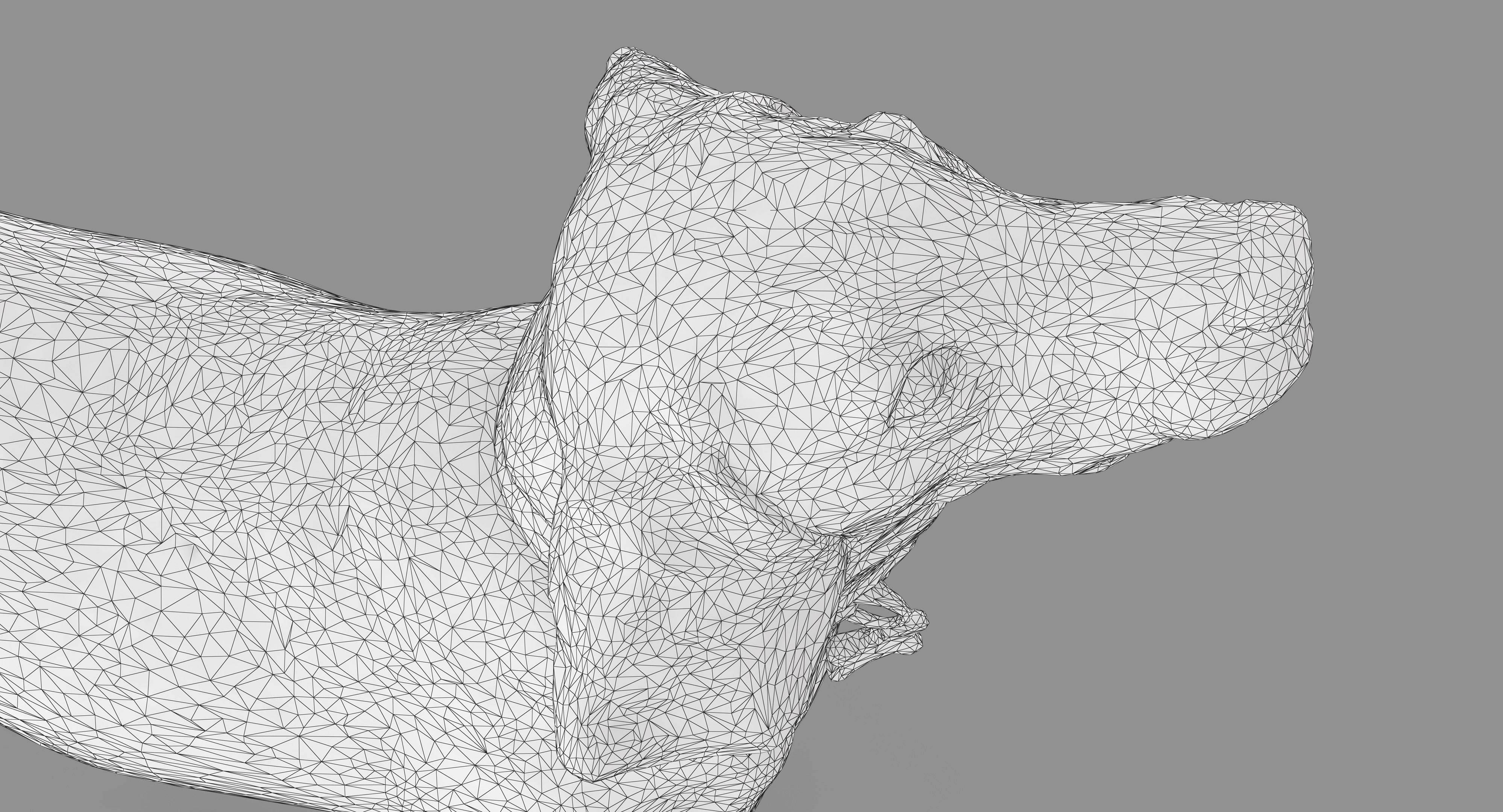 Beagle Standing 3D model_22