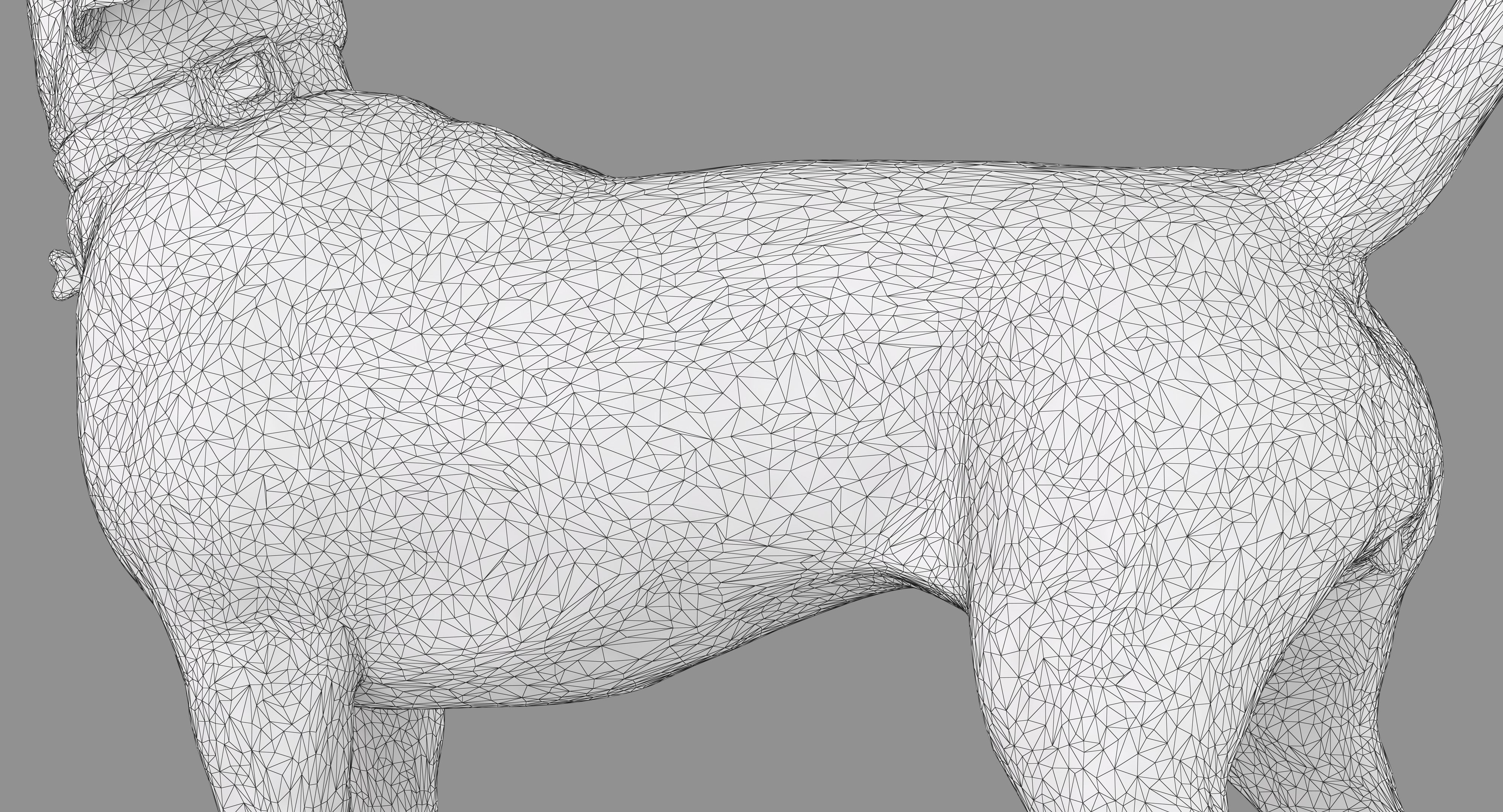 Beagle Standing 3D model_34