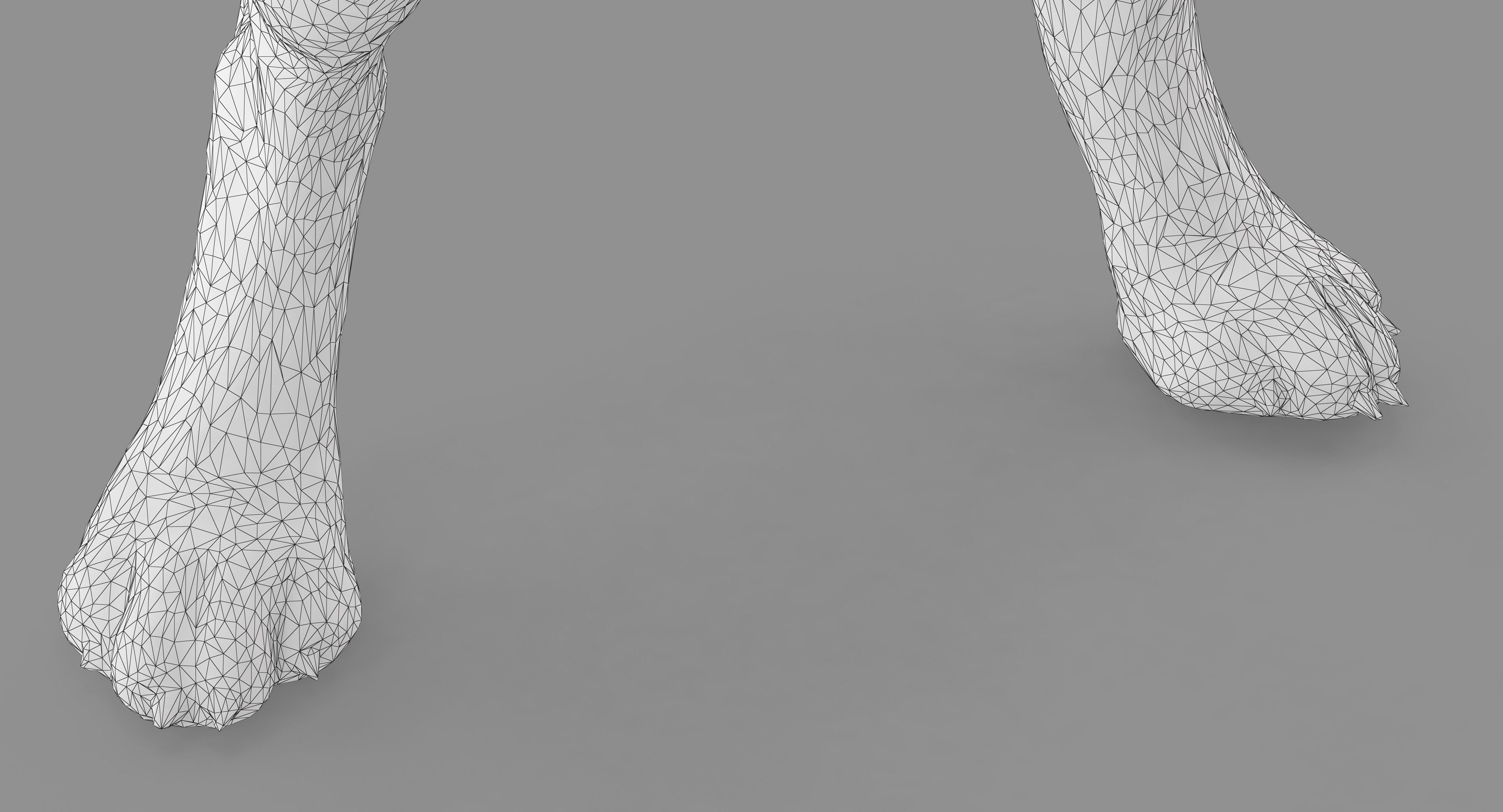 Beagle Standing 3D model_26