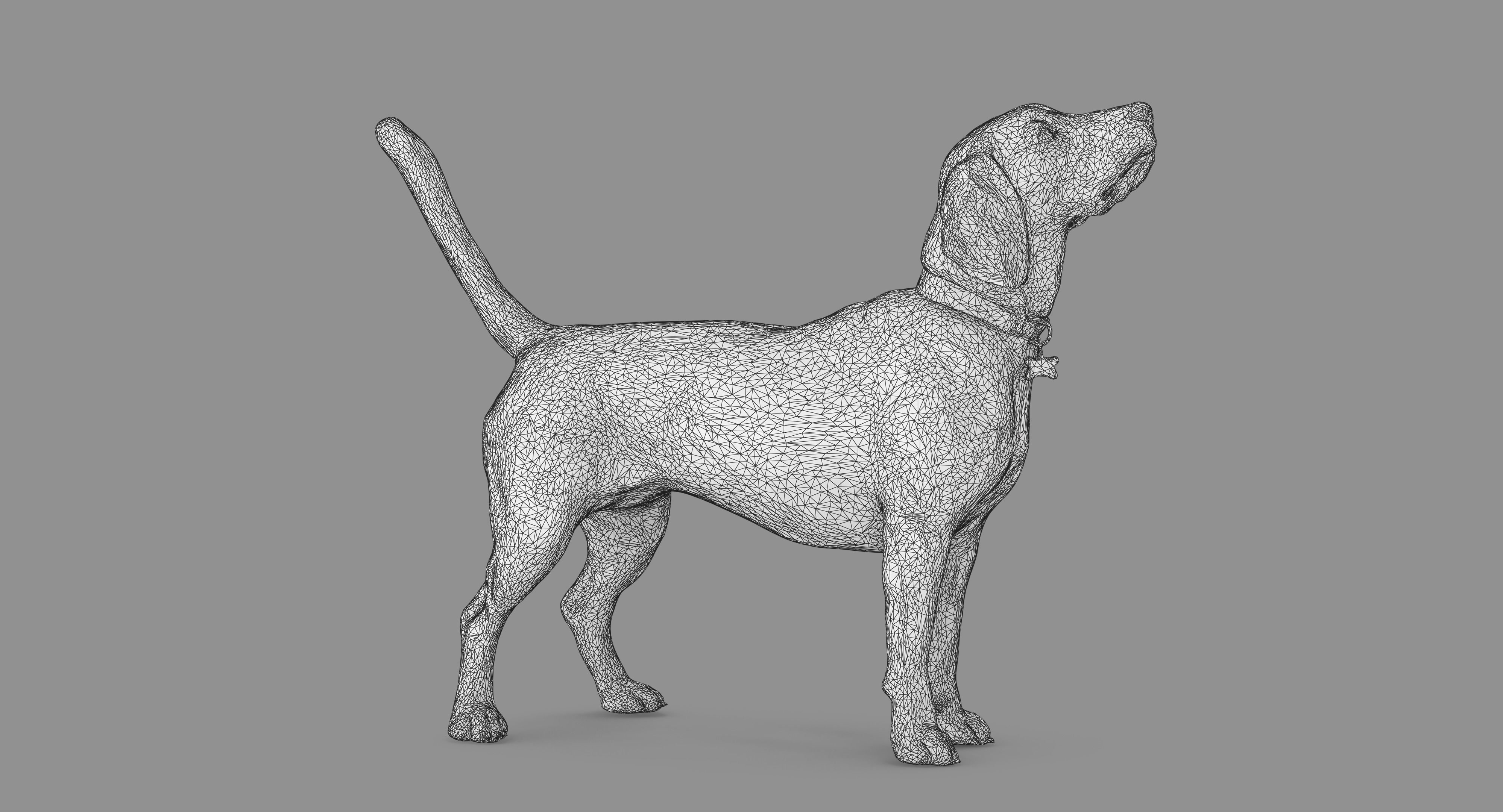Beagle Standing 3D model_54