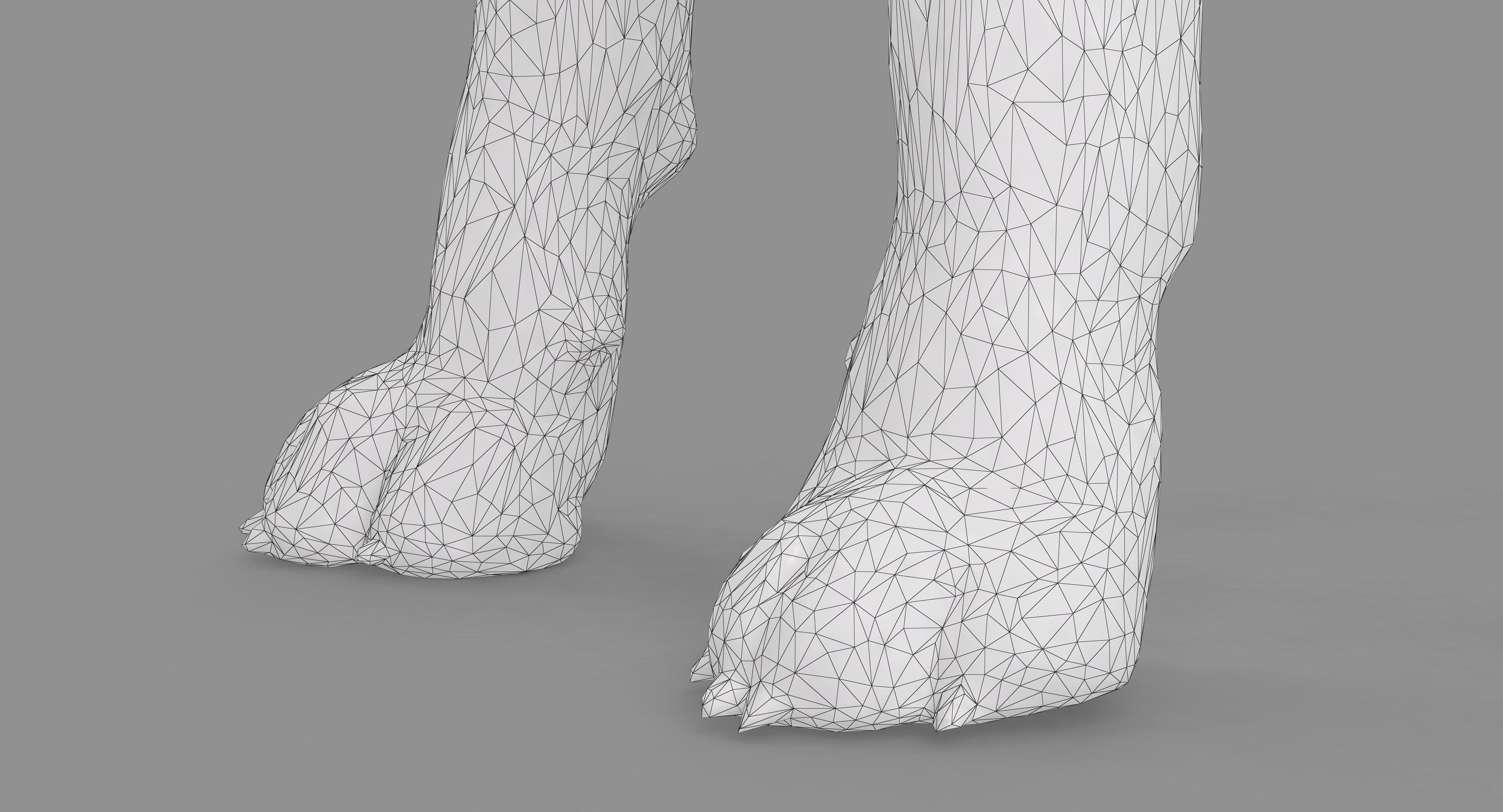 Beagle Standing 3D model_16