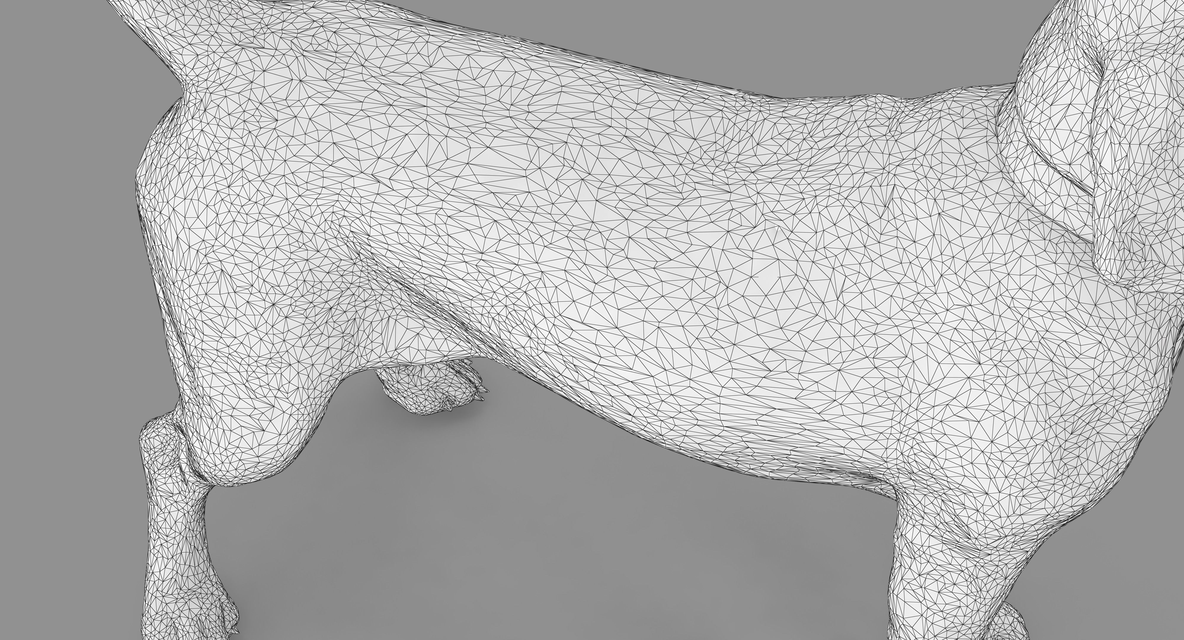 Beagle Standing 3D model_24