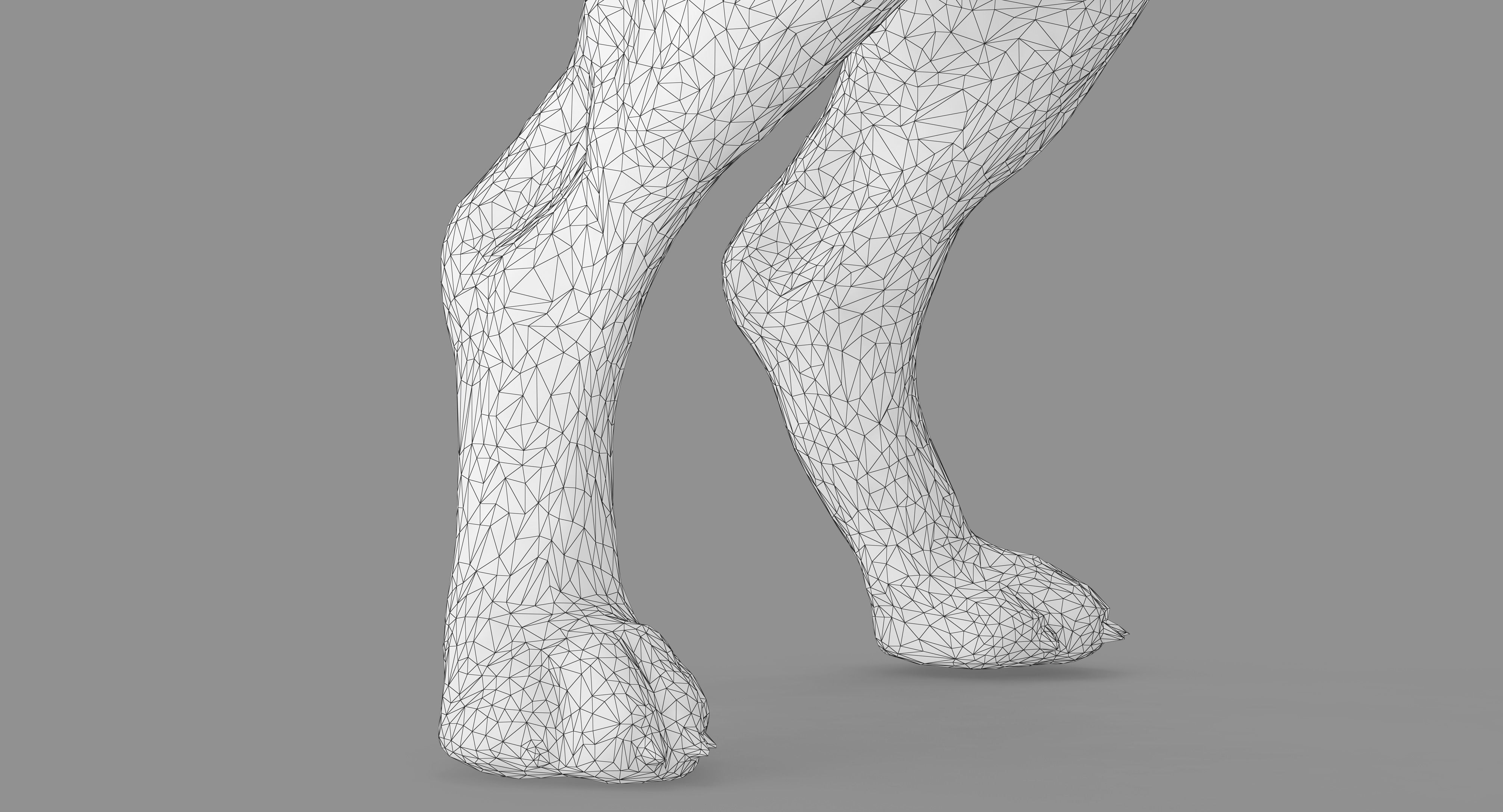 Beagle Standing 3D model_32