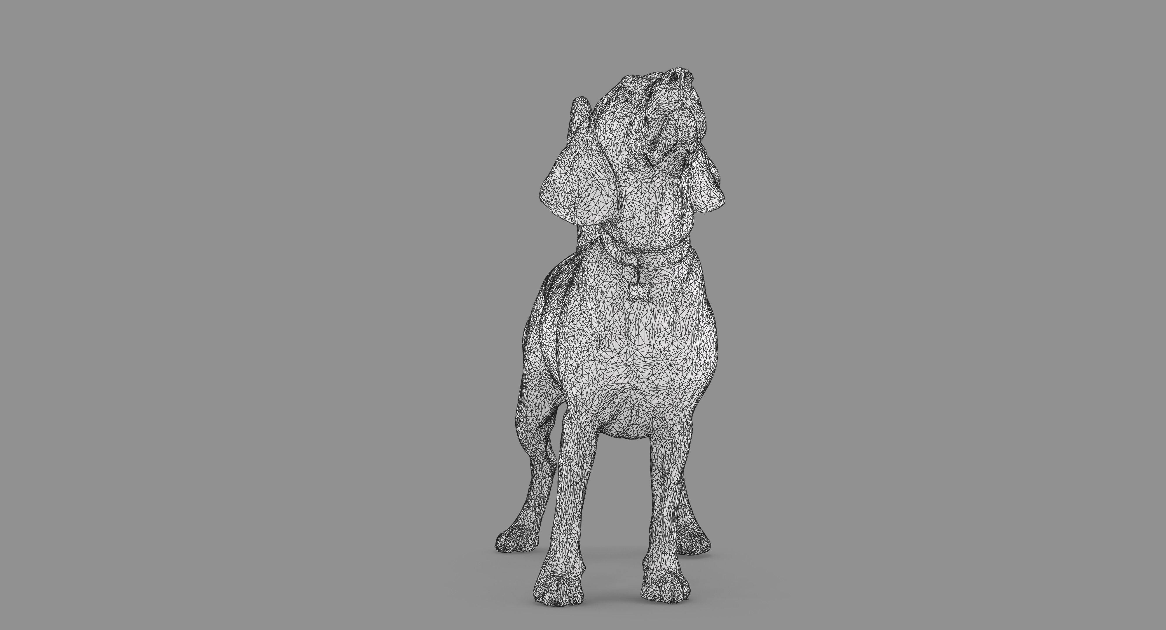 Beagle Standing 3D model_46