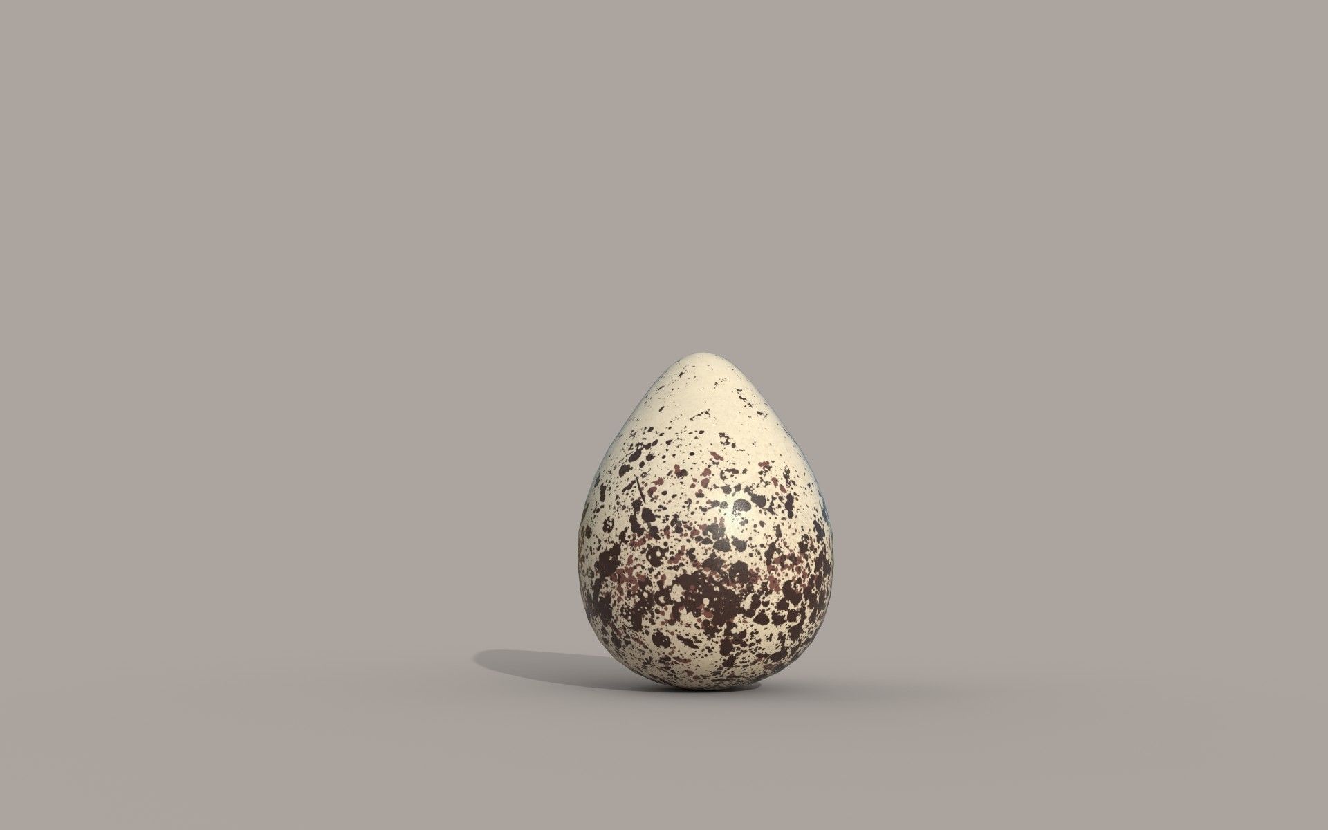 Killdeer Egg Low-poly 3D model_1
