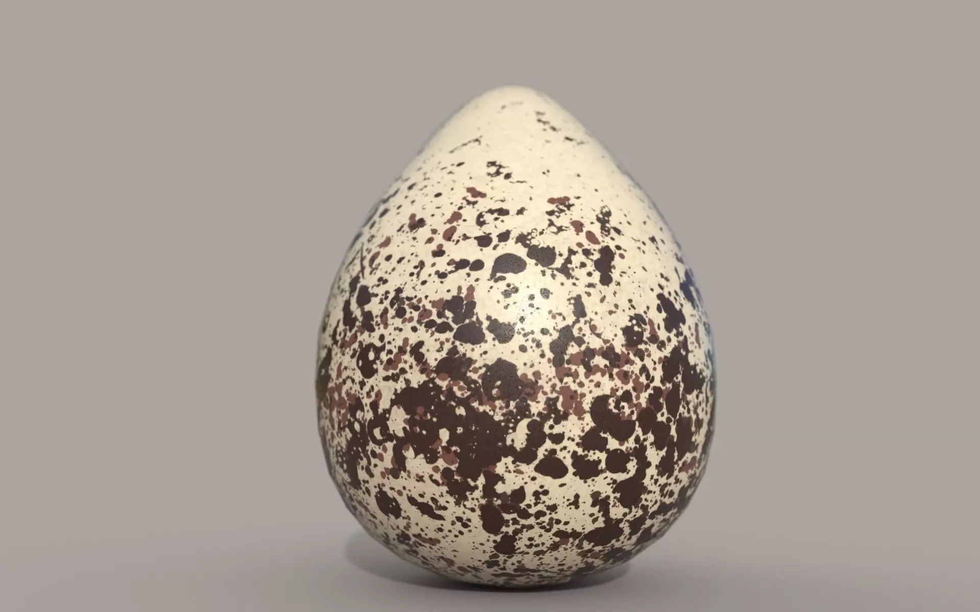 Killdeer Egg Low-poly 3D model_0