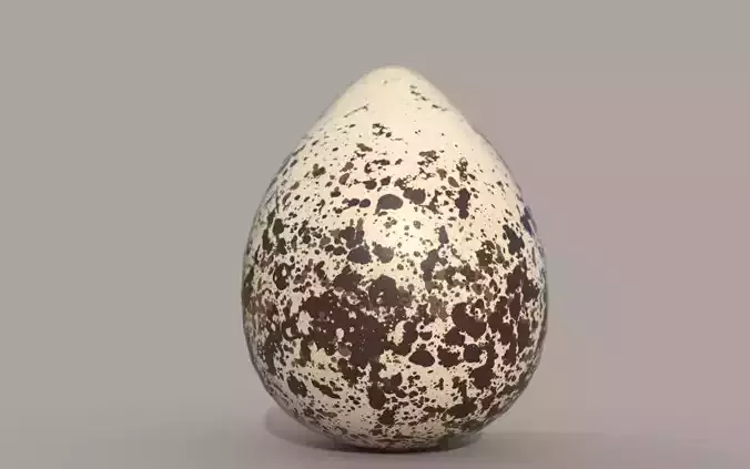 Killdeer Egg Low-poly 3D model