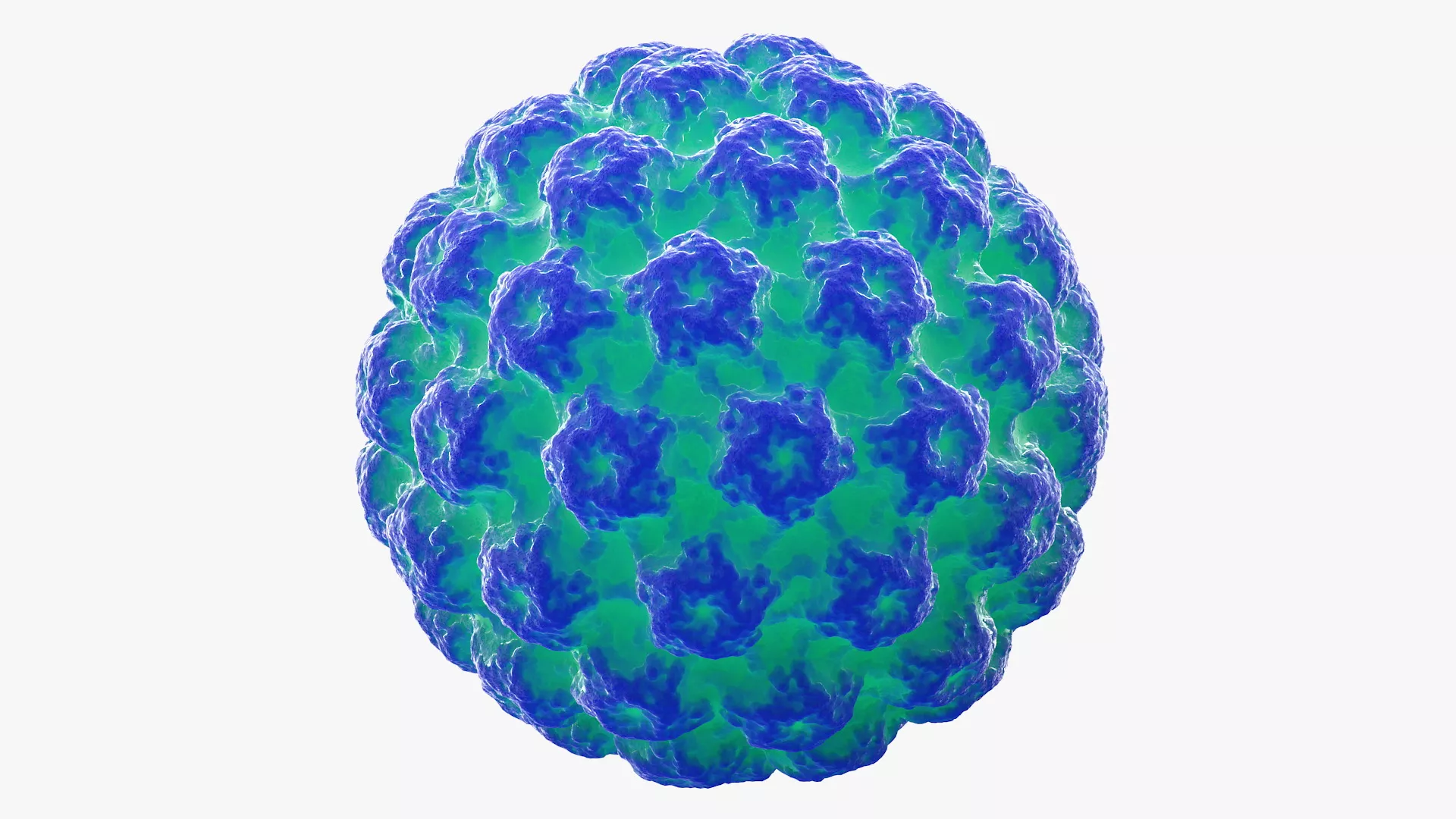 Human Papilloma Virus HPV 3D model