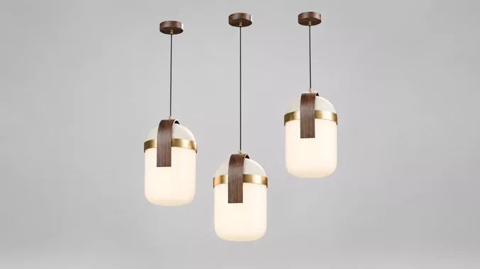 Modern Wood Glass Pendant Ceiling Lamp 3D Model