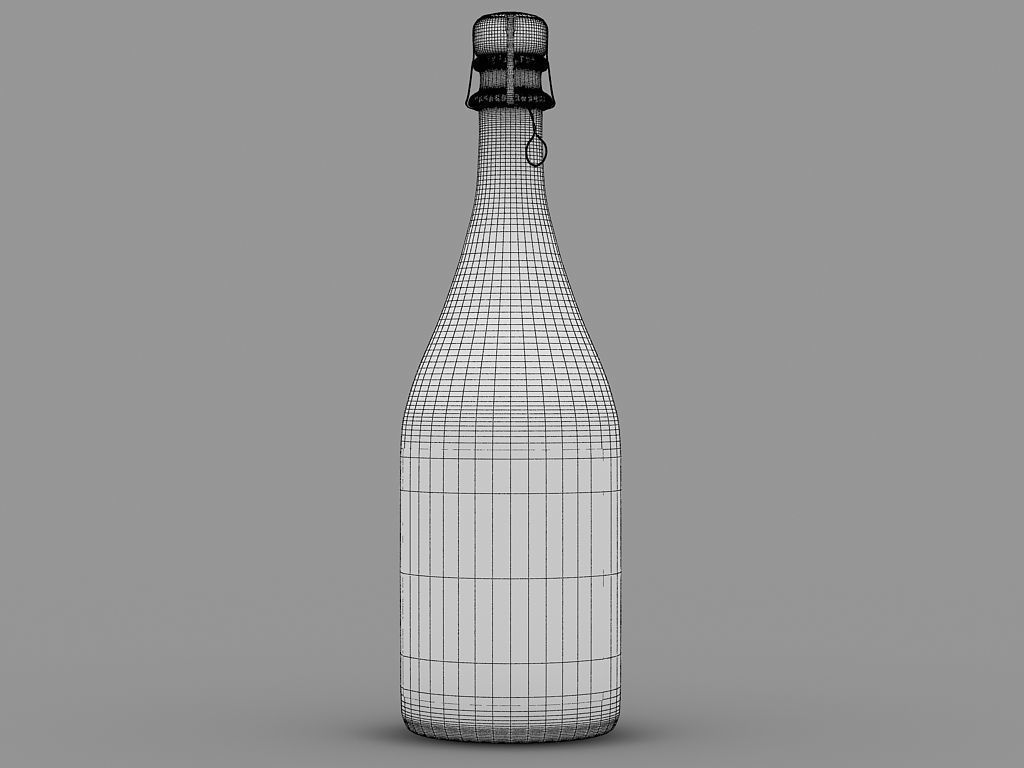 Champanger Bottle 3D model_4