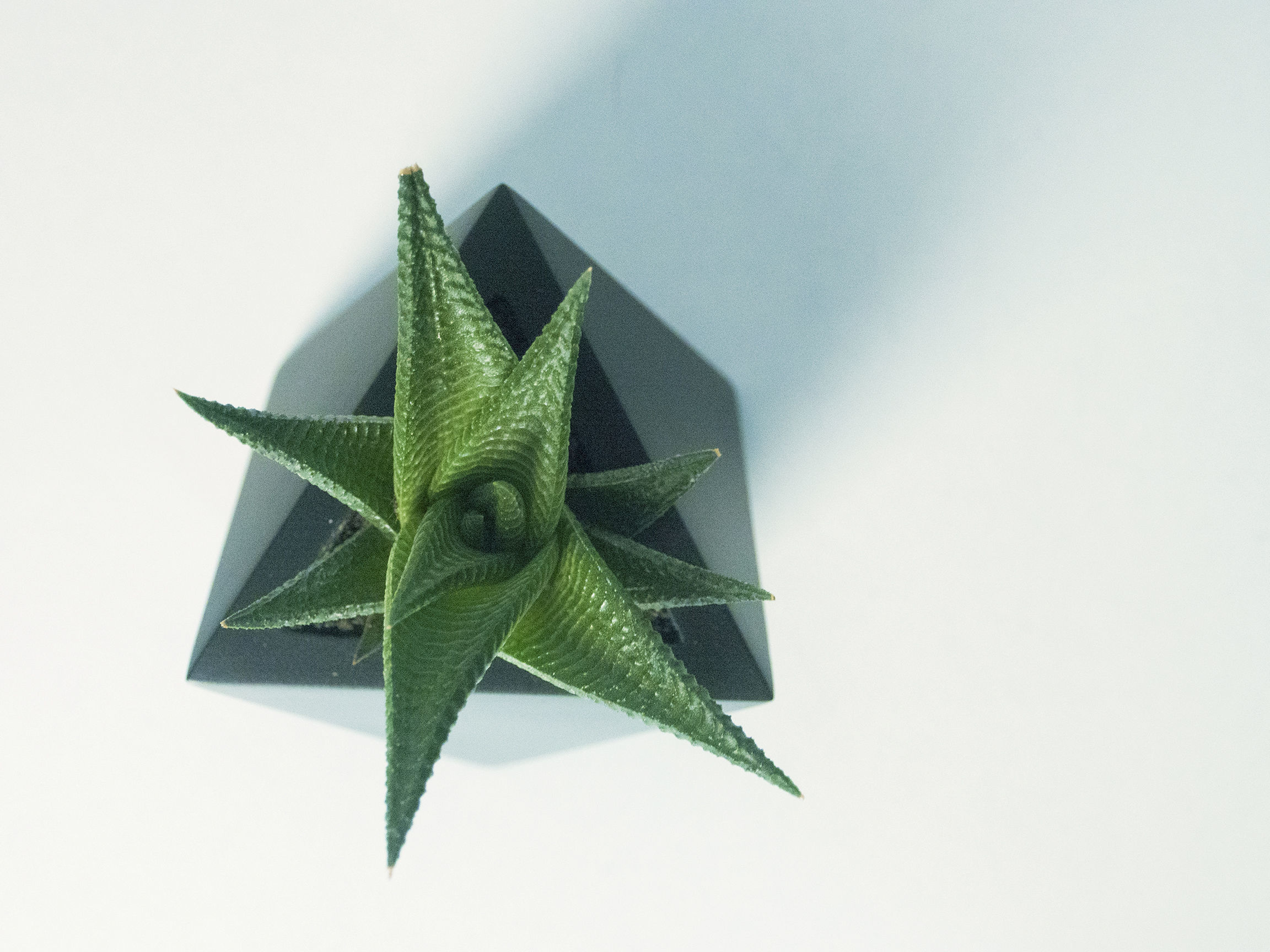 Octaedro planter 3D print model_1