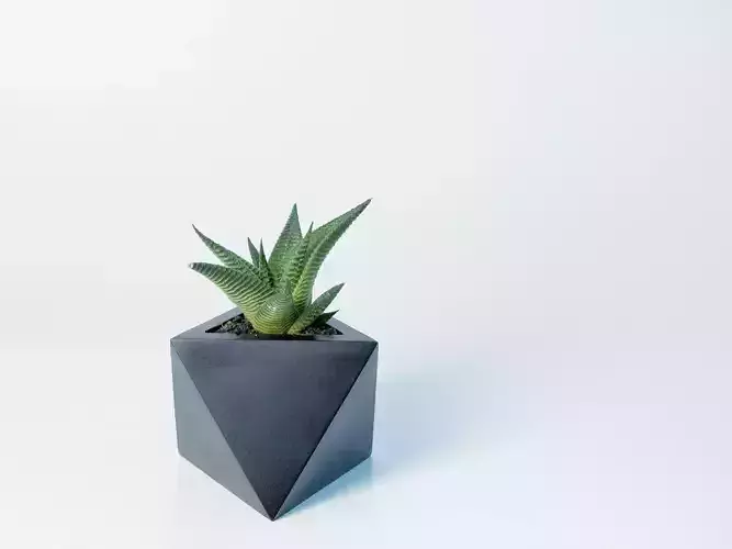 Octaedro planter 3D print model