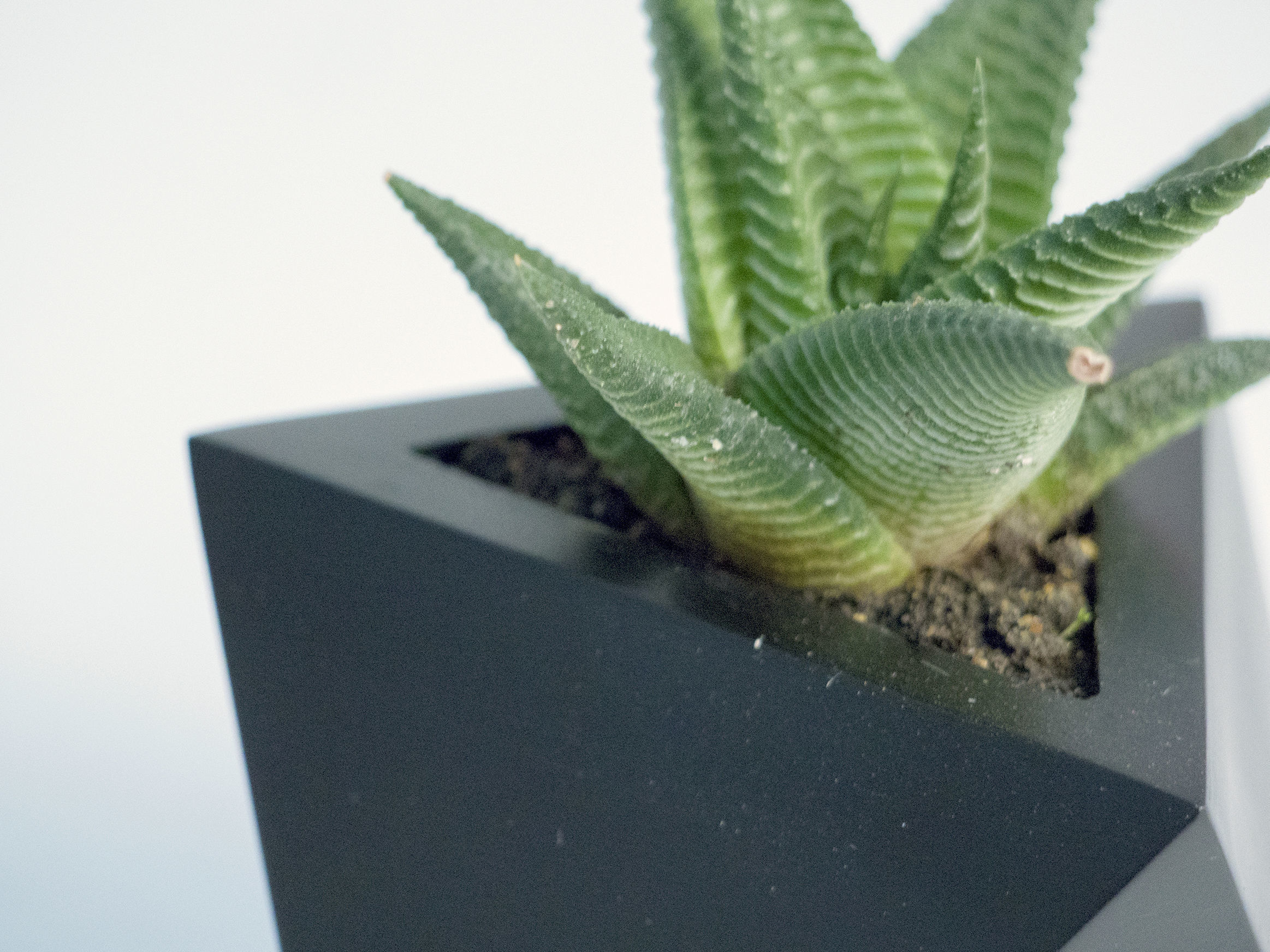 Octaedro planter 3D print model_4