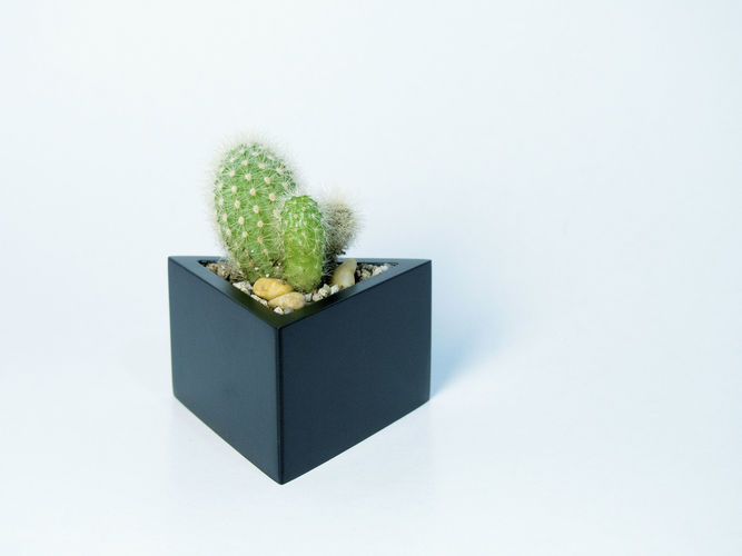 Prisma planter 3D print model